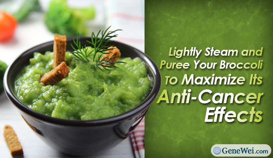Lightly Steam and Puree Your Broccoli To Maximize Its Anti Cancer Effects